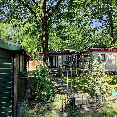 Horská chata Chalet In Bosrijke Omgeving Op Chaletpark Kempenbos Naast Duc De Brabant Voor 2-3-4-5 Personen *