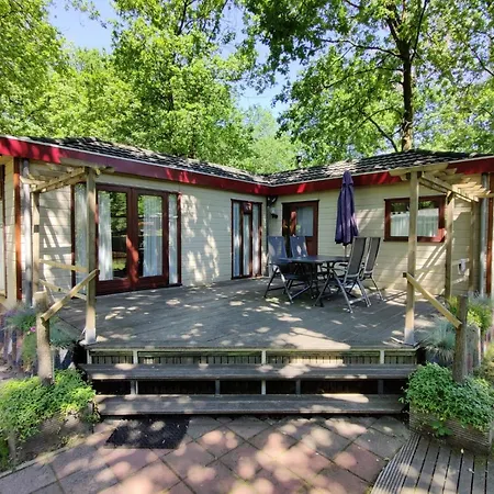 Chalet In Bosrijke Omgeving Op Chaletpark Kempenbos Naast Duc De Brabant Voor 2-3-4-5 Personen Diessen
