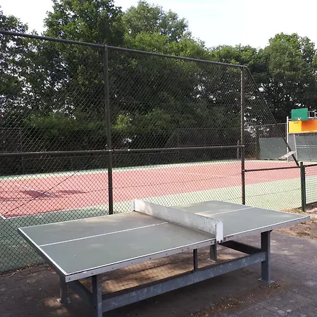 Chalet In Bosrijke Omgeving Op Chaletpark Kempenbos Naast Duc De Brabant Voor 2-3-4-5 Personen * Diessen