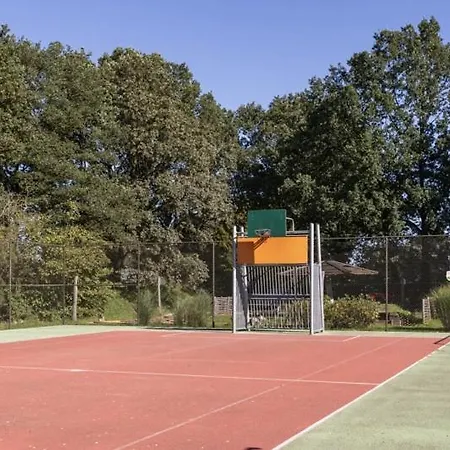 Chalet In Bosrijke Omgeving Op Chaletpark Kempenbos Naast Duc De Brabant Voor 2-3-4-5 Personen 디센