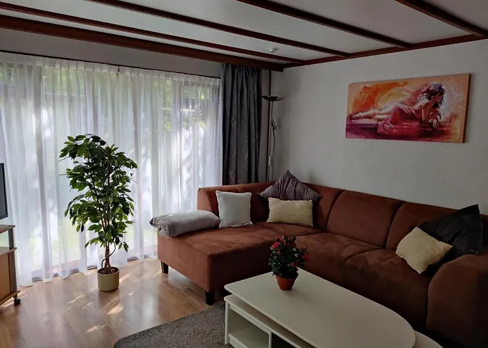 Chalet In Bosrijke Omgeving Op Chaletpark Kempenbos Naast Duc De Brabant Voor 2-3-4-5 Personen 디센